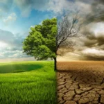 Le changement climatique est l’un des plus grands défis auxquels l’humanité est confrontée aujourd’hui. Alors que les efforts pour y remédier s’appuient sur des approches variées, l’intelligence artificielle (IA) offre de nouvelles opportunités pour trouver des solutions efficaces.